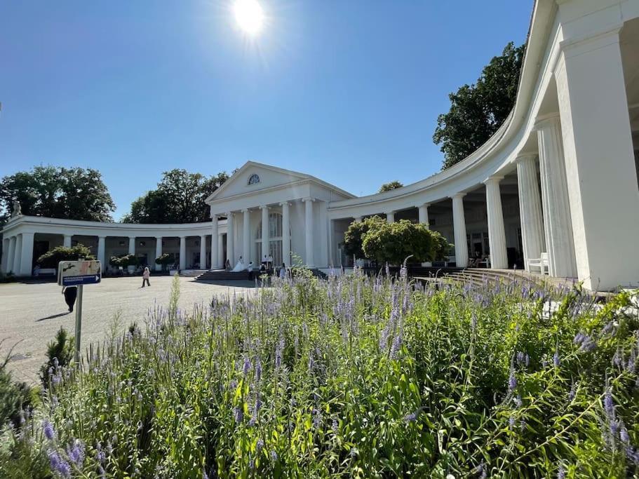 Stadt-Oase - Kostenlos Parken, Ruhig, Kliniken, Gop, Bali-Therme, Boxspringbett Bad Oeynhausen Dış mekan fotoğraf